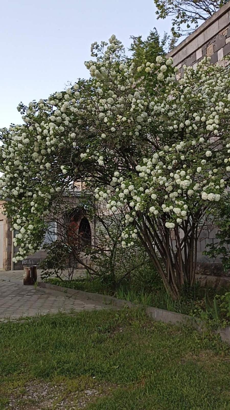 Luse Guest House Ijevan Esterno foto